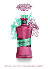 MINTIS RIBESA 070 41,8%