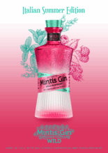 MINTIS WILD RASPBERRY 0,7l 41,8%